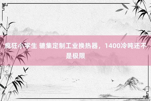 疯狂小学生 辘集定制工业换热器，1400冷吨还不是极限