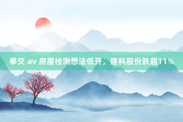 拳交 av 房屋检测想法低开，建科股份跌超11%