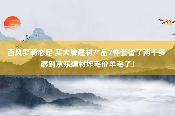 西风萝莉恋足 买大牌建材产品7件套省了两千多 薅到京东建材炸毛价羊毛了！