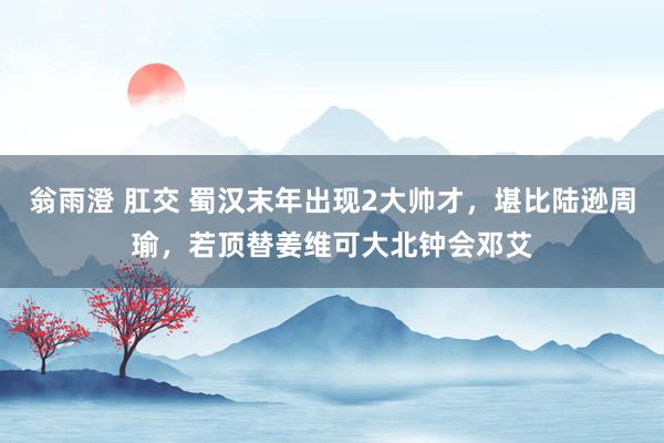 翁雨澄 肛交 蜀汉末年出现2大帅才，堪比陆逊周瑜，若顶替姜维可大北钟会邓艾