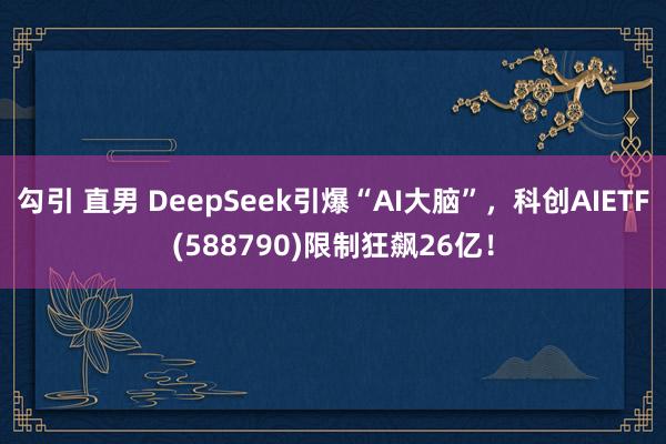 勾引 直男 DeepSeek引爆“AI大脑”，科创AIETF(588790)限制狂飙26亿！