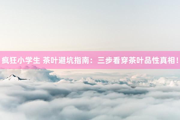 疯狂小学生 茶叶避坑指南：三步看穿茶叶品性真相！