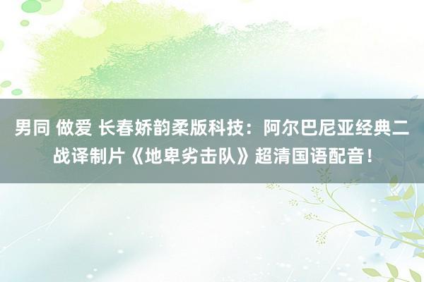 男同 做爱 长春娇韵柔版科技：阿尔巴尼亚经典二战译制片《地卑劣击队》超清国语配音！